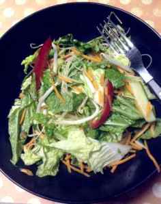 Spring Roll Salad